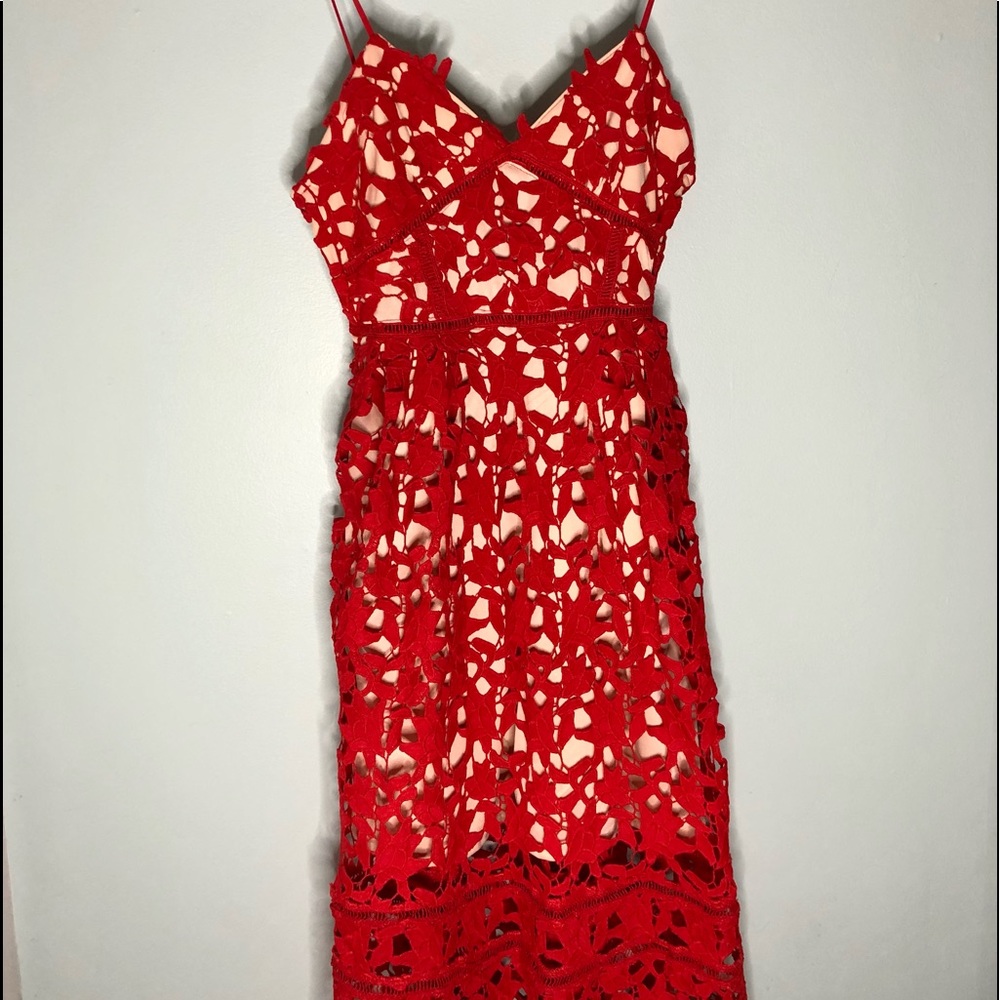 Gorgeous Eyelet Cocktail Dress
